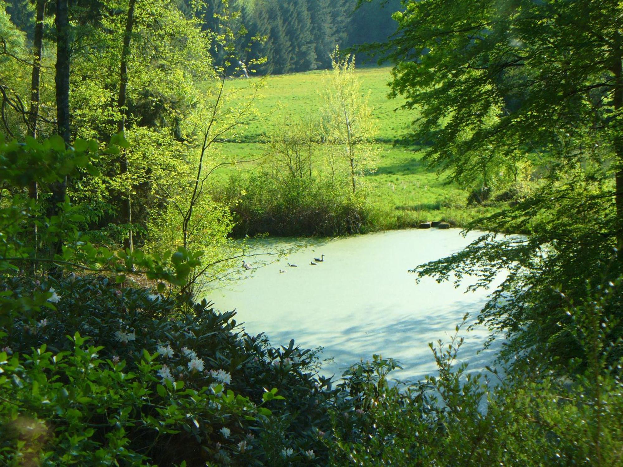 منزل الضيف سولتو  في Forstgut Stuebeckshorn المظهر الخارجي الصورة